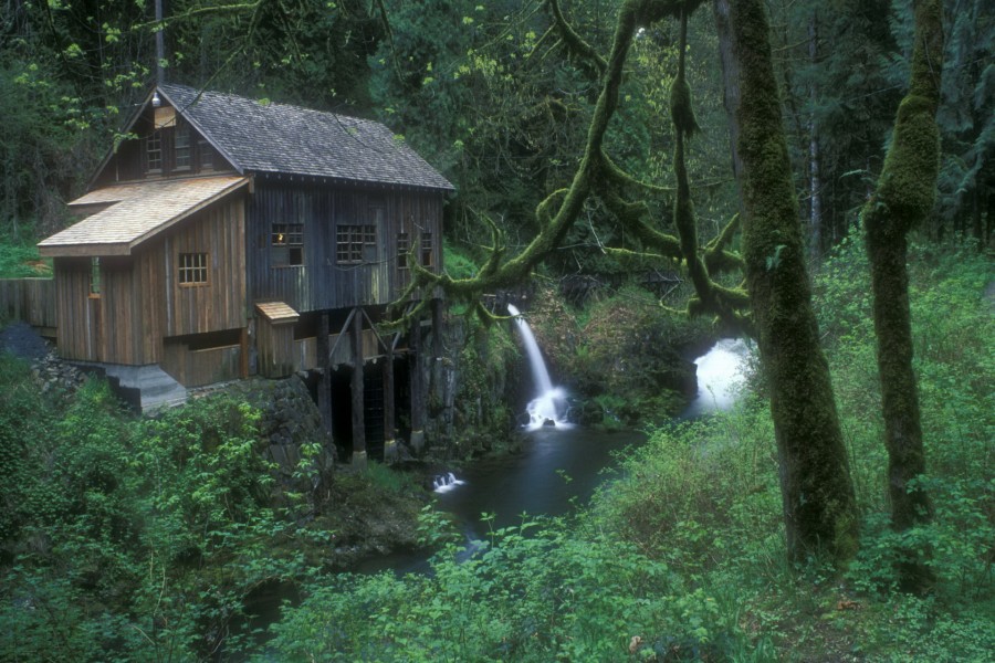 Cabaña en el bosque junto a un río