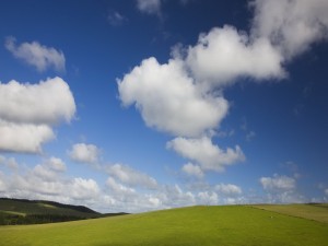 Nubes blancas sobre un campo verde