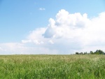 Cielo con nubes sobre el campo