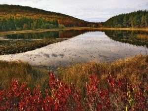 Lago en otoño