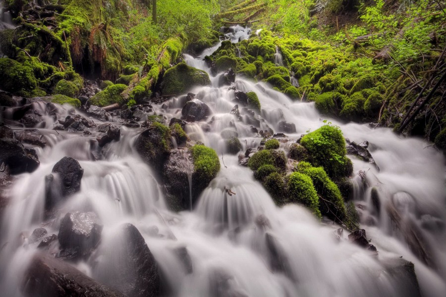 Río fluyendo sobre piedras musgosas