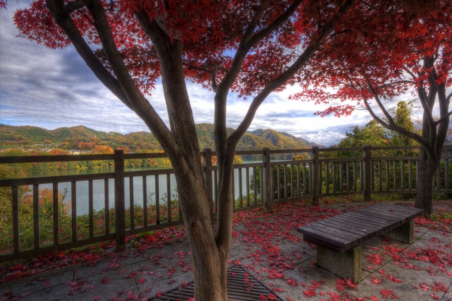 Banco con vistas al lago