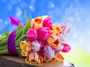Ramo con tulipanes de bonitos colores