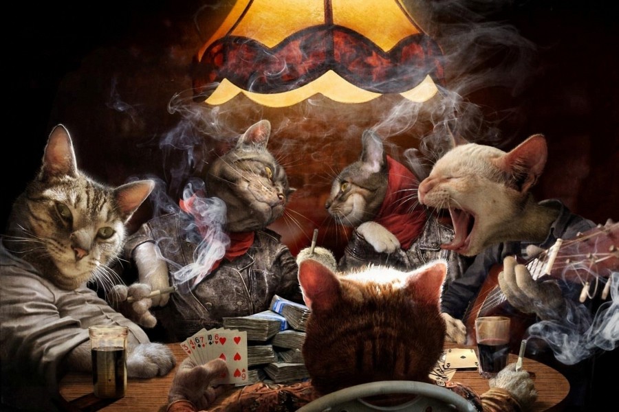 Gatos jugando al poker