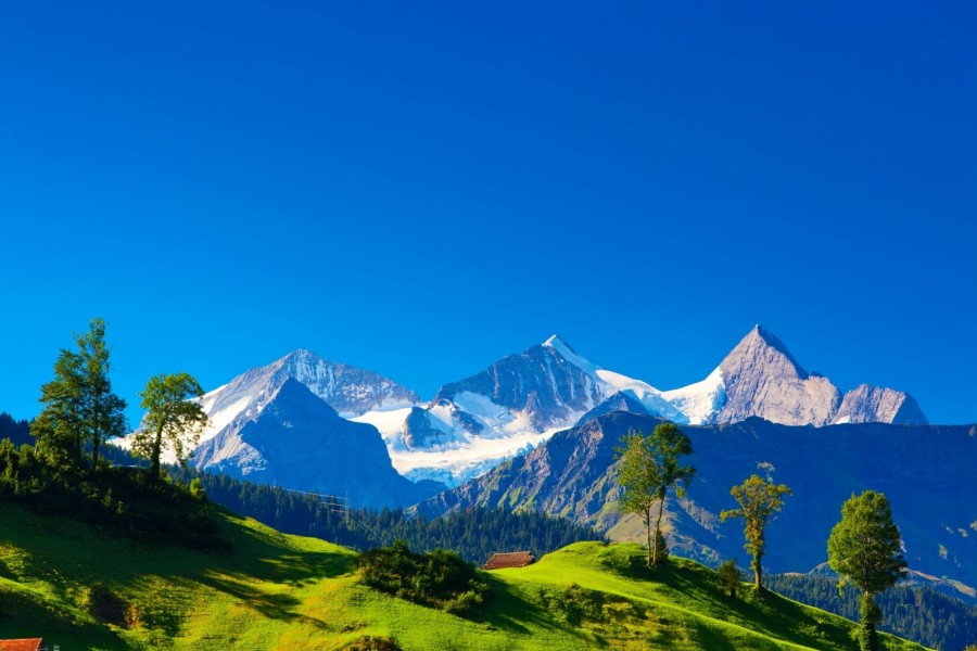 Montañas de los Alpes