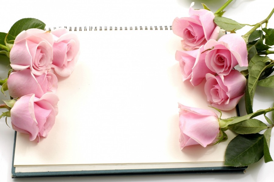 Rosas de color rosa sobre un cuaderno