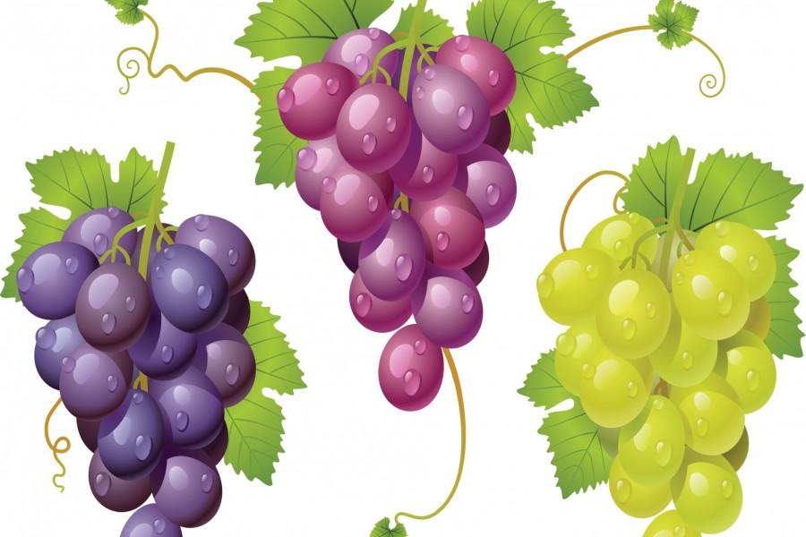 Uvas con gotitas de rocío