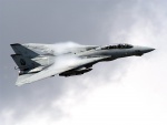 F-14 Tomcat en el aire