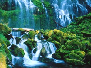 Hermosas cascadas