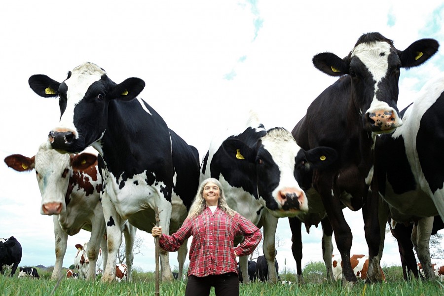 Mujer cuidando unas vacas