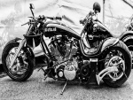 Dos Harley-Davidson