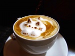 Gatito en una taza de café
