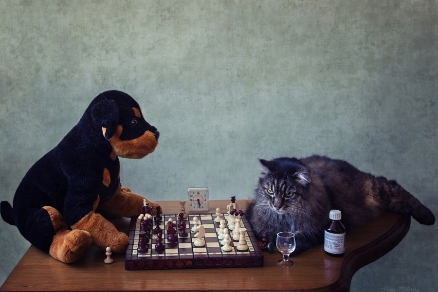 Jugando al ajedrez