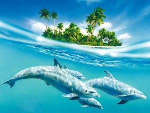 Postal: Delfines junto a una isla