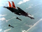 F-14 en el aire