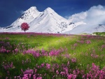 Flores junto a unas montañas nevadas
