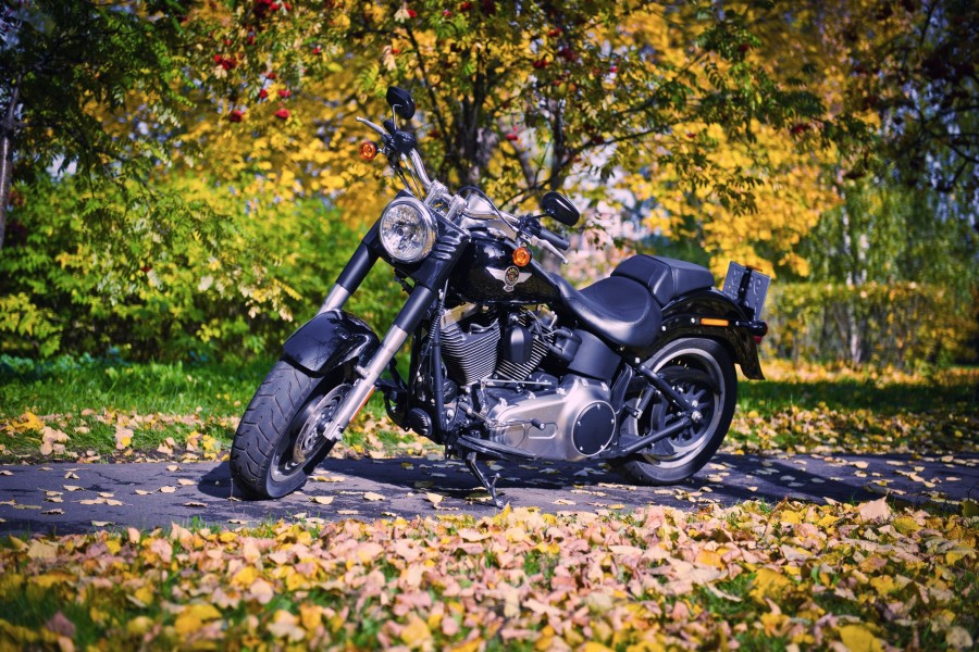 Una Harley-Davidson vista en otoño