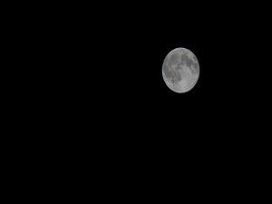 Luna llena en una noche clara