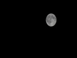 Luna llena en una noche clara