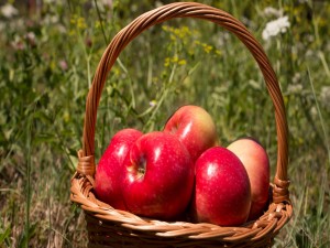 Manzanas rojas brillantes en una cesta