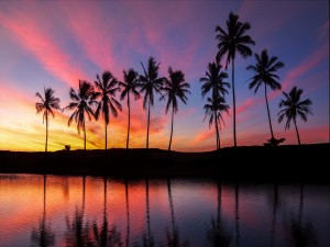 Mar y palmeras al amanecer