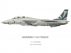 Postal: Grumman F-14 A Tomcat