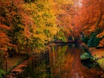 Bote en un río rodeado de árboles en otoño