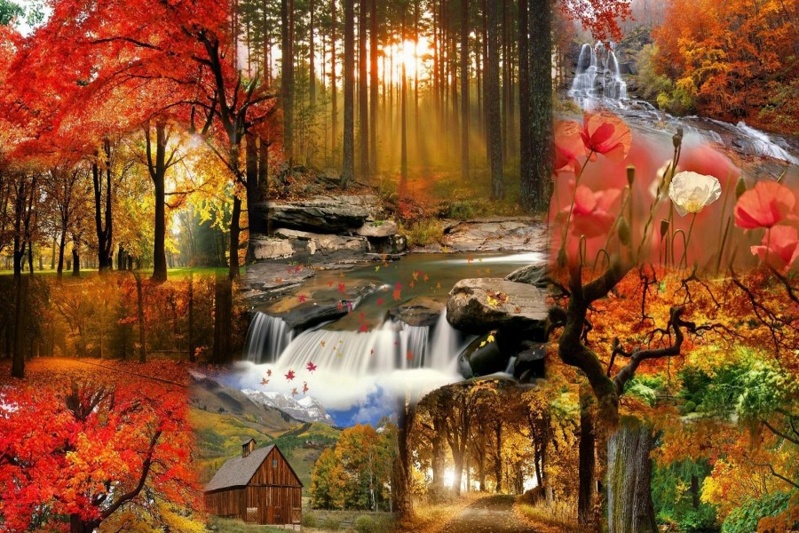 Collage del otoño
