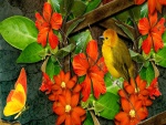Un pájaro y una mariposa junto a unas flores de color naranja