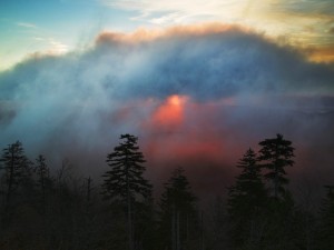 Nubes sobre el bosque