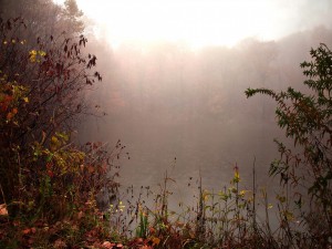 Niebla sobre el río en otoño