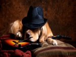 Labrador Retriever con sombrero tumbado sobre una guitarra electrónica