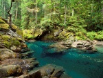 Río Ohanapecosh (Parque nacional del Monte Rainier, Washington)