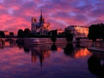 Vista de Notre Dame al amanecer (París, Francia)