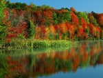 Los colores del otoño reflejados en un lago