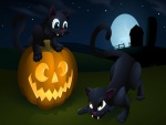 Gatitos negros en Halloween
