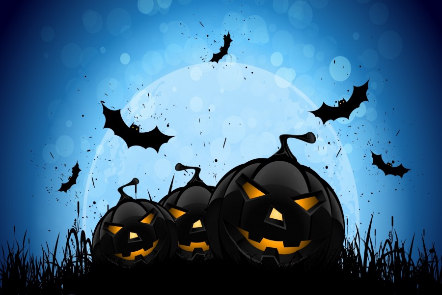 Murciélagos y calabazas en la noche de Halloween