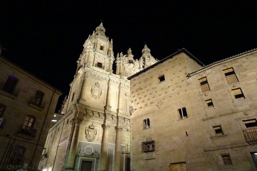 La Clecería y la Casa de las Conchas (Salamanca)