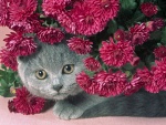 Gato escondido entre unas flores