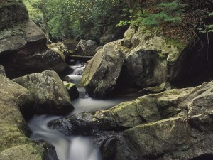 Postal: Agua fluyendo entre grandes rocas