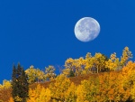 Luna llena en otoño