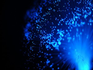 El reflejo azul de los tentáculos de una medusa