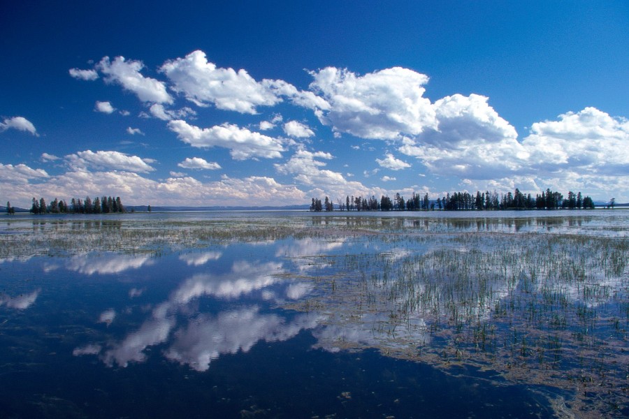 Lago Yellowstone (Wyoming)