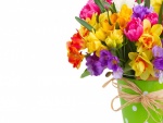 Narcisos, tulipanes y fresias en un recipiente