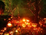 Calabazas talladas e iluminadas en Halloween