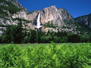 Postal: Cascada en Yosemite