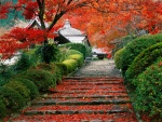 Otoño en un jardín de Kioto (Japón)