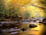 Los colores del otoño reflejados en el río