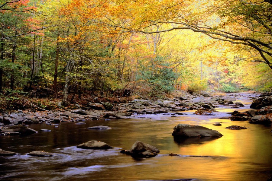 Los colores del otoño reflejados en el río