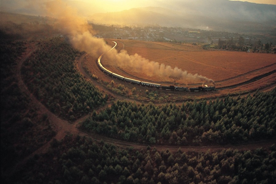 Tren circulando por un campo